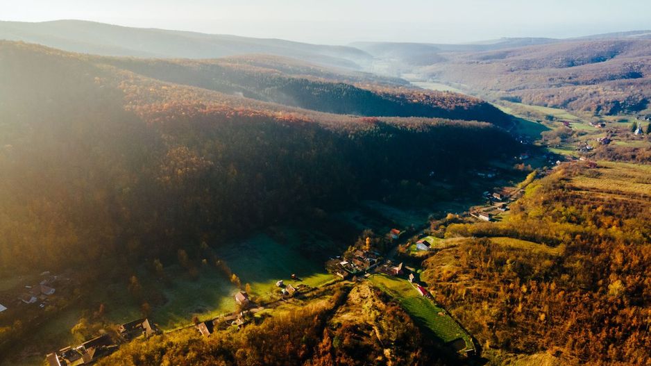 Teren intravilan Cladova - Poză 3