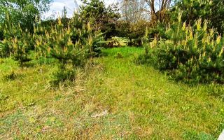 Teren in localitatea Reci,langa lacuri - Poză 9