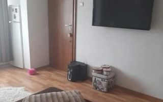 1 camera zona Lipovei - Poză 5