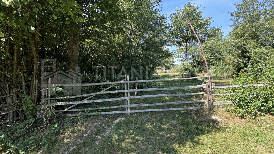 Platou montan, 6631 mp intravilan, electricitate,  langa pădure - Poză 5