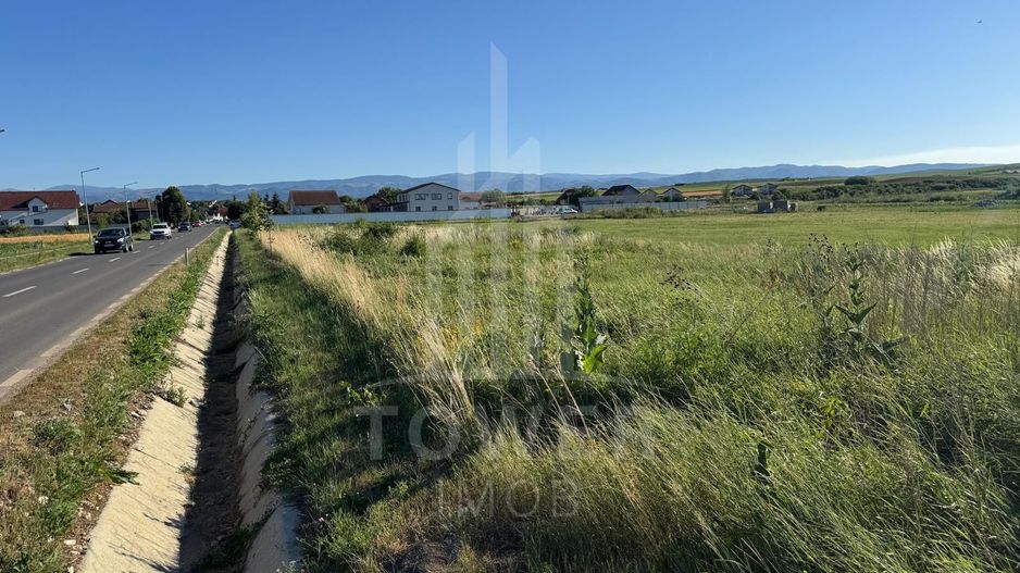 Teren 2500mp Sura Mica - Ocna Sibiului | 162.500 EUR - EXCLUSIVITATE - Poză 6