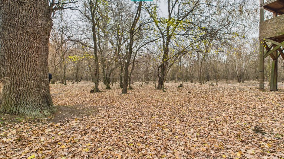 Teren pe malul Muresului- oportunitati multiple - Poză 9