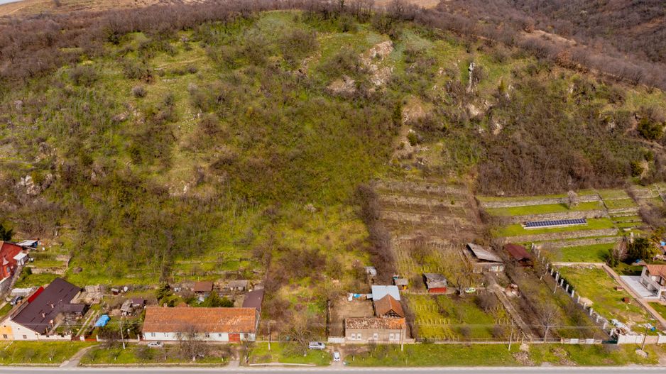 Teren Intravilan Pauliș - Poză 8