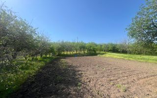 Teren Intravilan Central Ghercesti - Poză 3