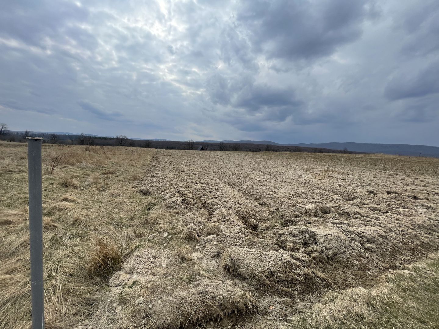 TEREN EXTRAVILAN | 23 ARI | HORODNIC DE SUS - Poză 8