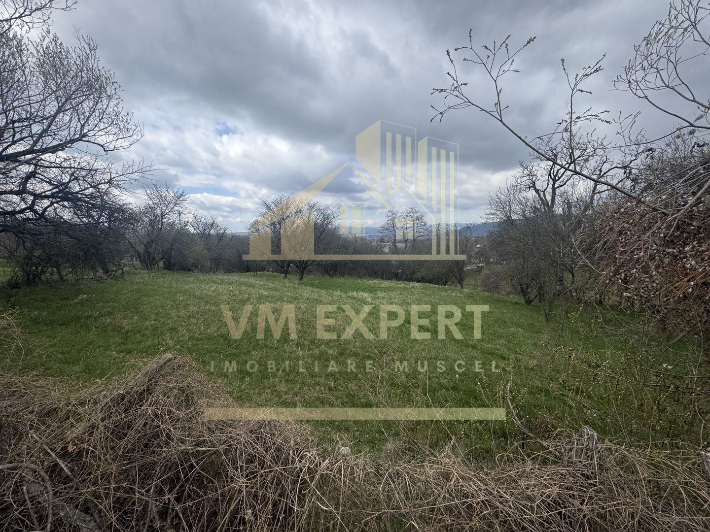 TEREN INTRAVILAN 2153 MP IN VALEA MARE PRAVAT - Poză 6