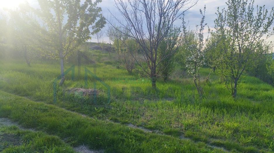 Teren intravilan de vânzare în sat Vânători, comuna Popricani, județul Iași - Poză 4