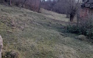 TEREN INTRAVILAN 5461 MP, BUGHEA DE JOS, ARGES - Poză 7