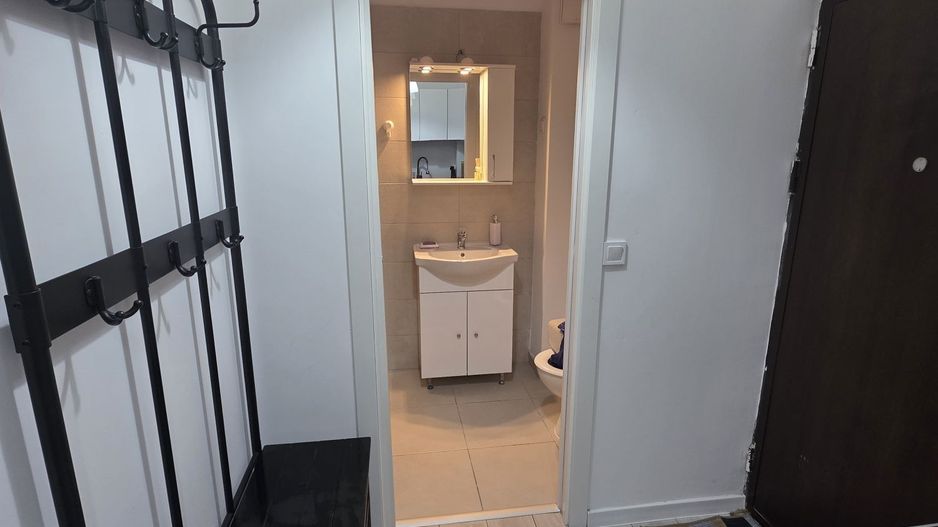 Garsonieră spațioasă de inchiriat , complet utilată, Bld. Timișoara - Poză 6