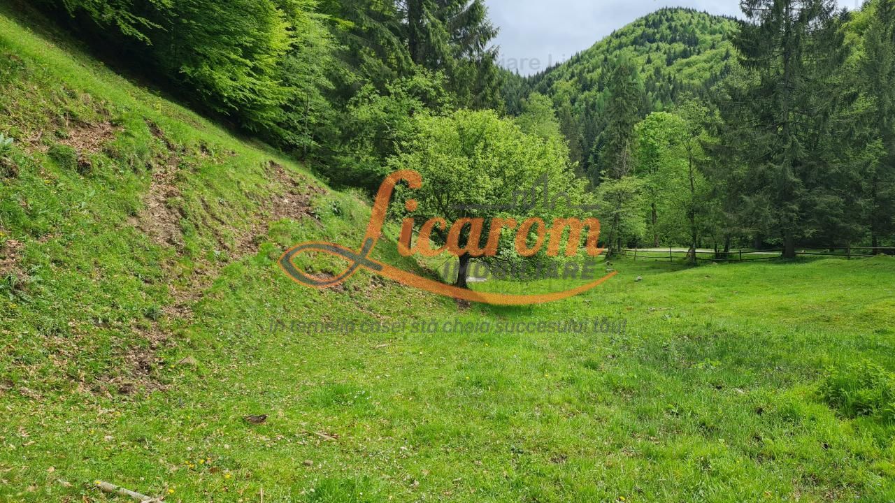 13005 mp teren faneata in Bran Simon cu fornt de 57 mp - Poză 11