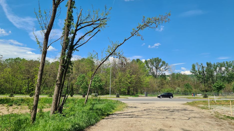 Teren de vanzare / Dem Radulescu - Poză 1