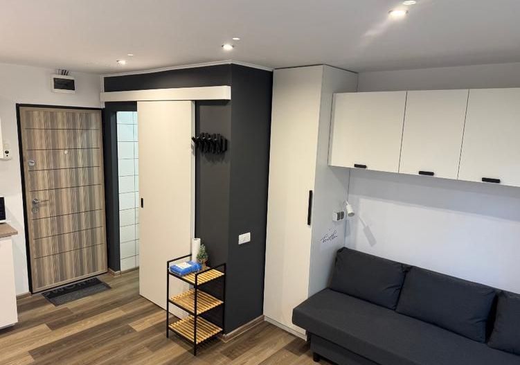 Soarelui-Cerna | 1 Camera | Recent renovata | Etaj 2 | Mobilat si Utilat - Poză 4