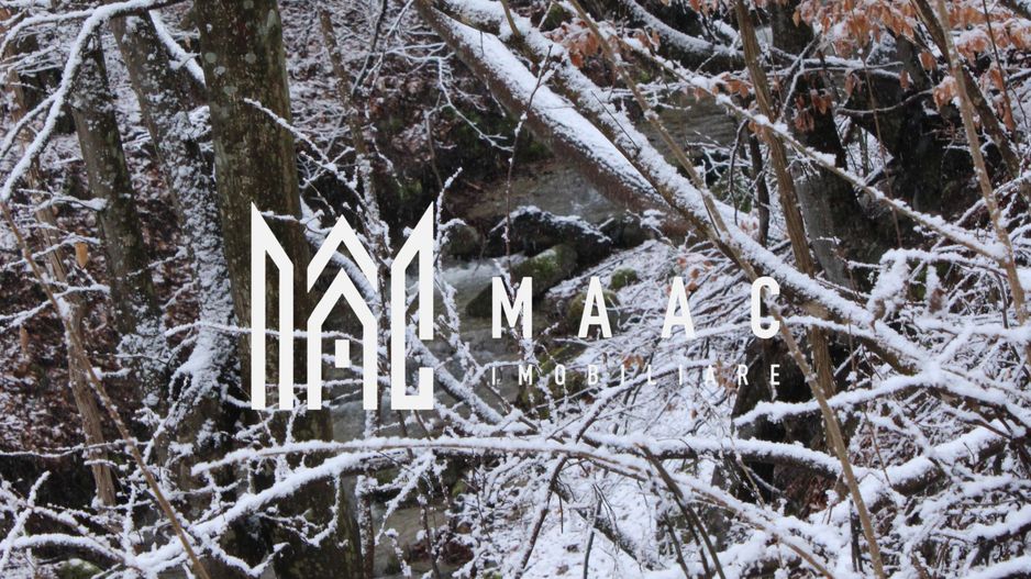 Teren cu izvor de apă minerală  Dangești, Punctul Valea Mare - Poză 22