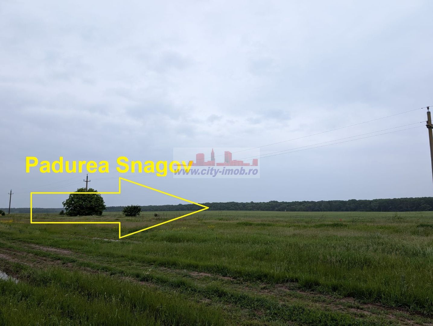Vanzare Teren - intravilan - Snagov Ghermanesti - Poză 14