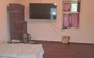 Casa individuala comuna  Peciu -Nou - Poză 19