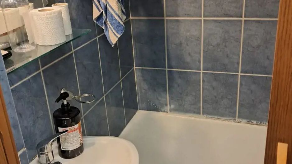 COMISION 0% | Garsoniera | Zona Buziasului | Centrala Proprie | 22mp - Poză 7