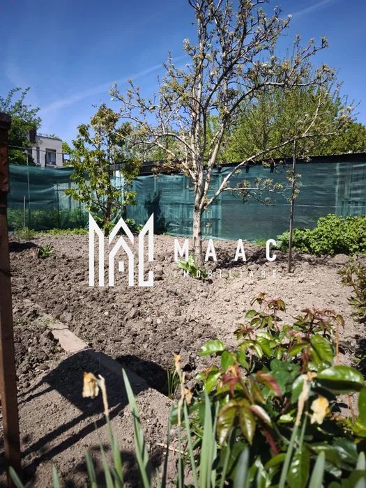 Casa 1 camera | Gradina 120 MP | Renovata | Lazaret - Poză 7