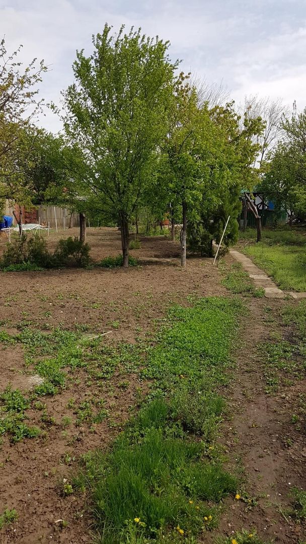 Teren 2.600 mp, utilități, Str. Merișor – Giurgiu - Poză 7