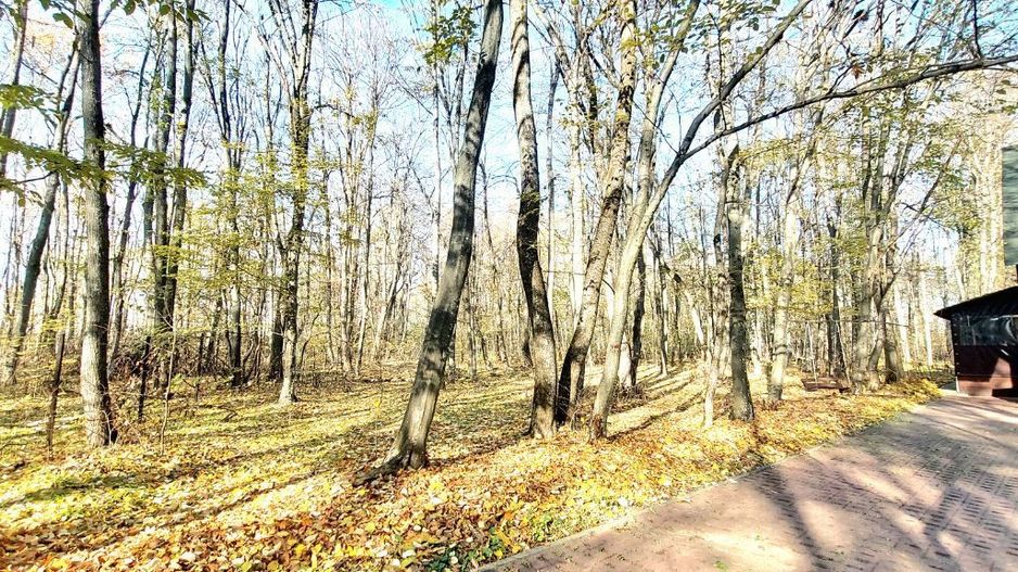 50 ari de Teren forestier si de recreere in Codri!! - Poză 1