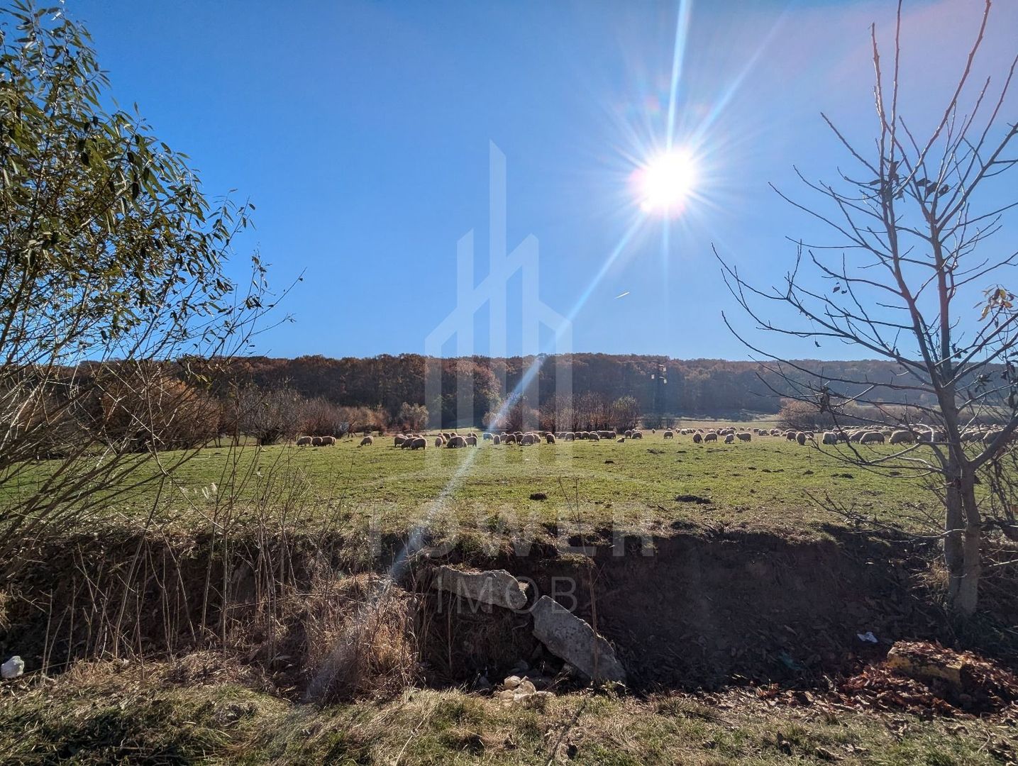 Teren extravilan in Tropinii Noi (Rasinari)-2592 mp - Poză 4