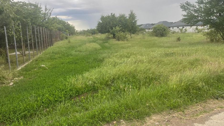 Teren 5.000 mp | Tamași – Corbeanca | Lângă Pădure | Utilități - Poză 1