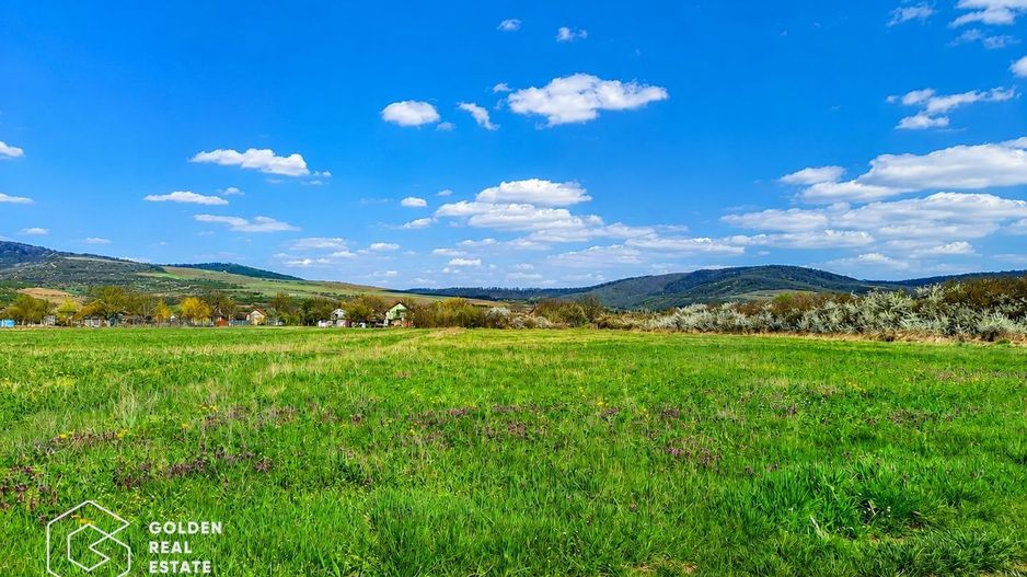 Teren agricol extravilan 250,47 ha, Șiștarovăț, județul Arad - Poză 1