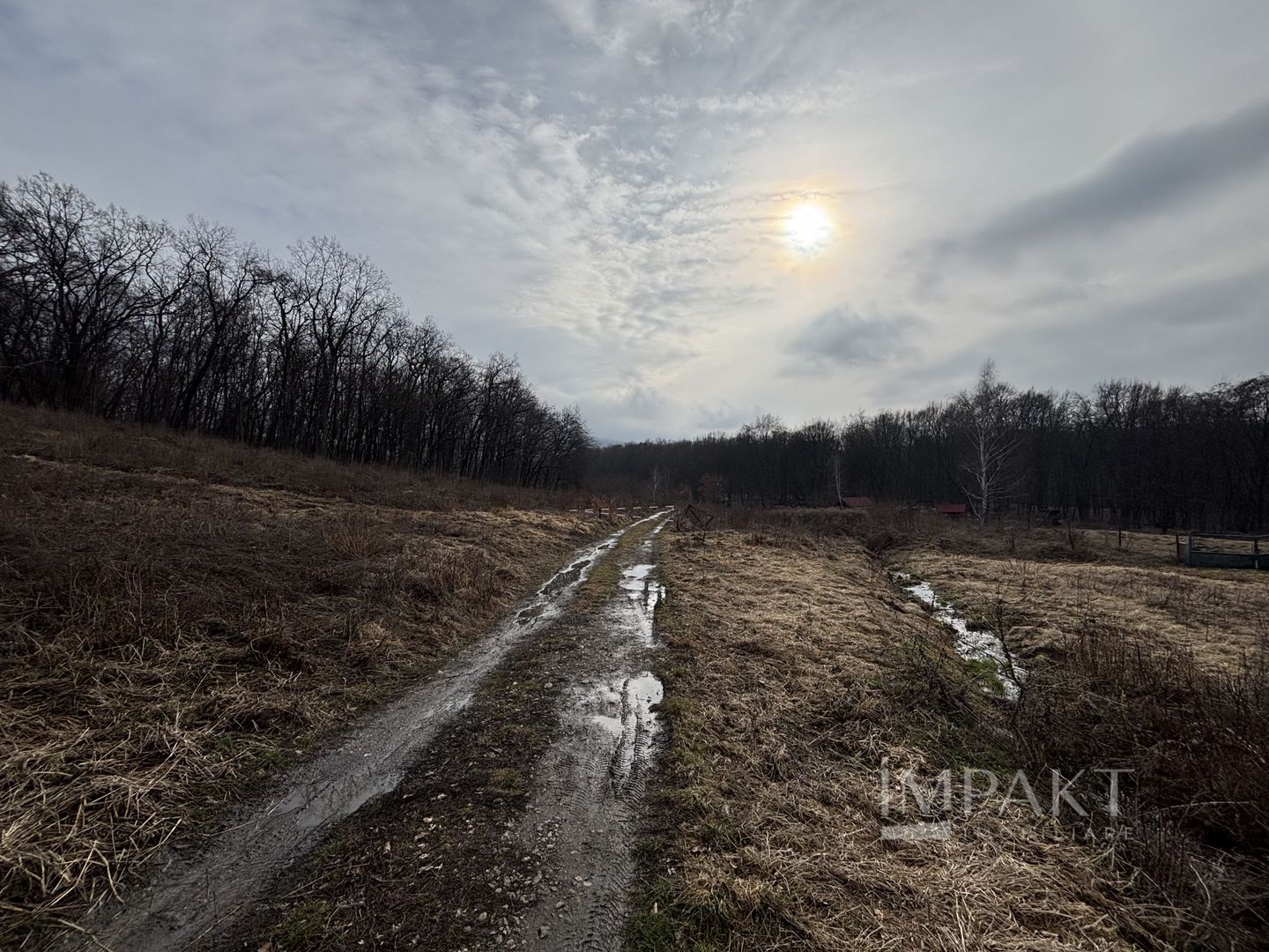 De vânzare două parcele de 3752 mp împreună- zona Făget - Poză 4
