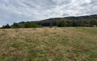 Teren de vânzare în Putna | 6.400 mp | 56 m front stradal - Poză 10