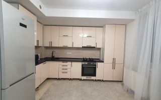 Chirie, apartament, 3 camere, str. Nicolae Testemitanu, Botanica - Poză 1