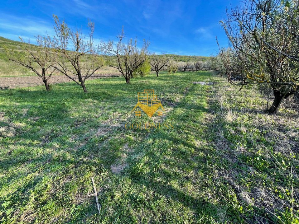 Tren Soporului Intravilan ,5500 MP Utilitati,  Oportunitate - Poză 7