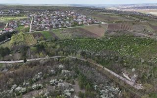 Teren de 37.5 ari în inima pădurii – Oportunitate unică de investiție lângă Crama Mileștii Mici! - Poză 3