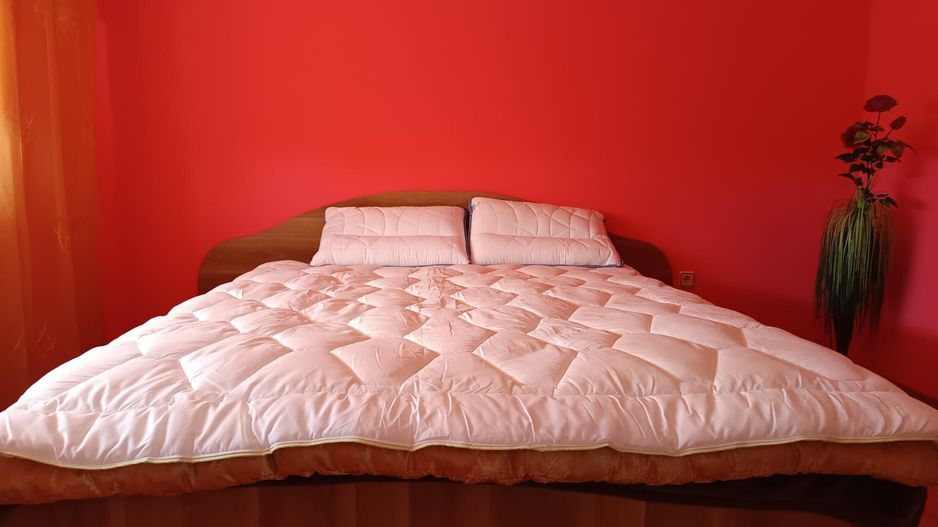 Vilă P+E de vânzare în Valea lui Mihai – 233 mp, teren 733 mp - Poză 19