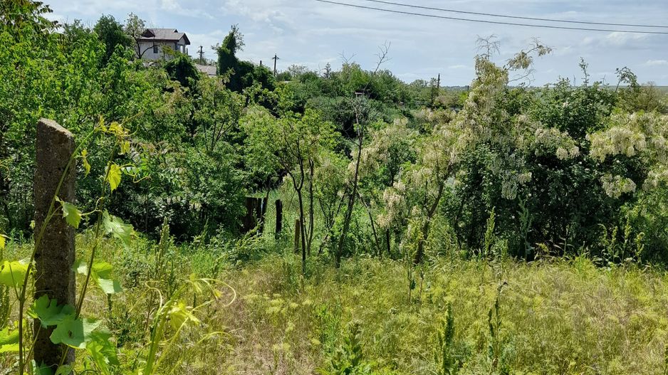 Casă cu teren de 1.470 mp de vânzare – Fântânele, Scânteiești - Poză 37