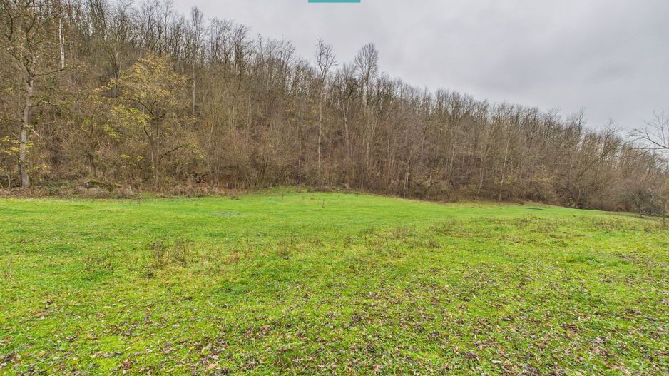 Casă cu teren de 24.679,73 mp, în Hălmagiu, Arad - Poză 22