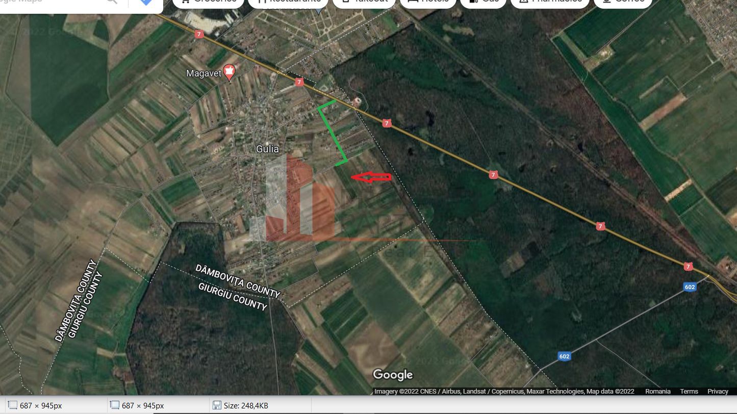 Teren intravilan Gulia - Dambovita - Poză 3