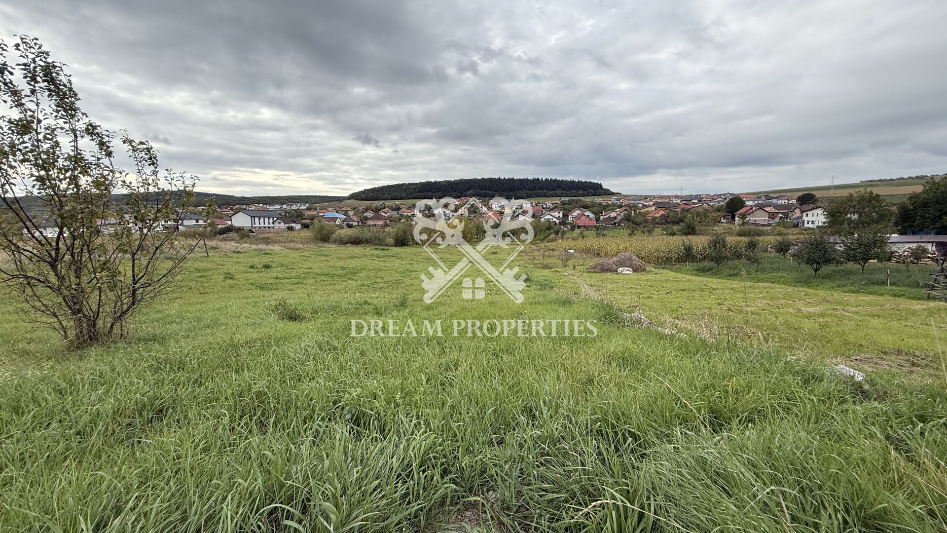 Oportunitate investitie! Teren intravilan, 3496 mp, centru Chinteni - Poză 2