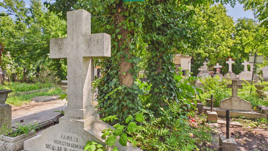 Loc de veci, cimitir Bellu,  Bucuresti - Poză 1
