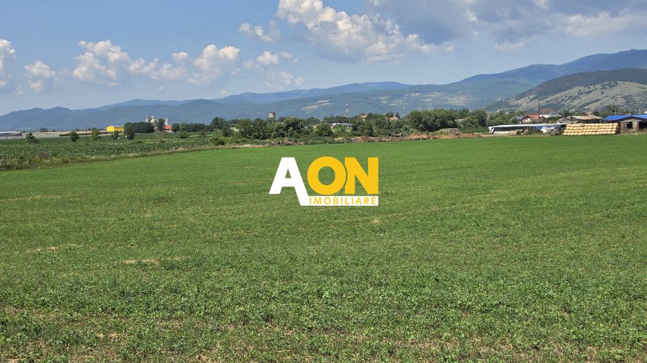 Teren intravilan industrial, 21300 mp, deschidere 77 mp, Vintu de Jos - Poză 5