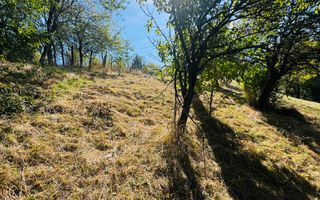 TEREN INTRAVILAN 3234 MP LEREȘTI VOINEȘTI ARGEȘ - Poză 33