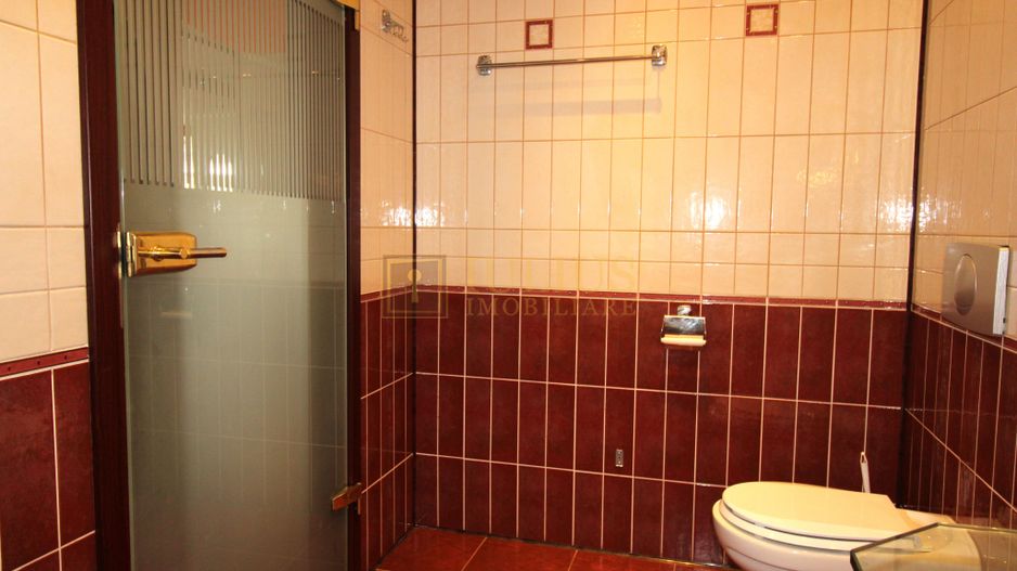 Casă individuală – Dumbrăvița, mobilata si utilata, spatii generoase. - Poză 9