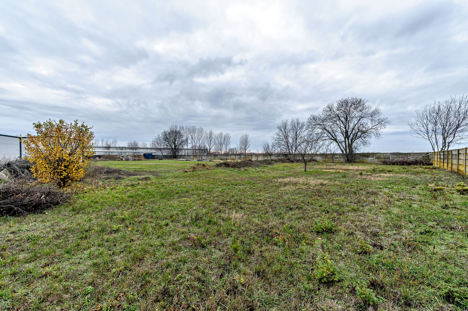 Hale depozitare/producție 2.000 mp si 10.000 mp teren în Pecica - Poză 14