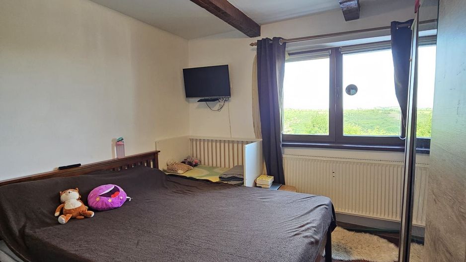Casa Zona Doja langa Hanul Pescarilor 1500 mp teren - Poză 4