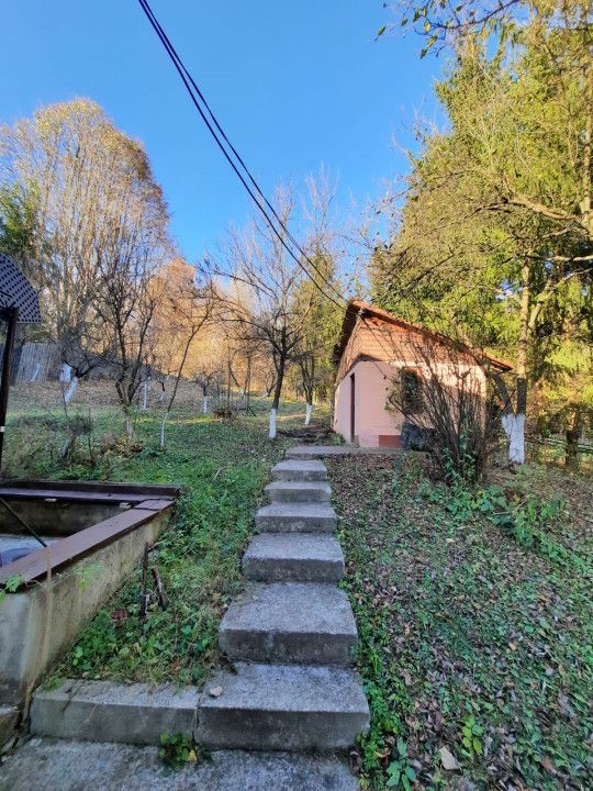 Casa 4 camere, teren 1960m2, CT, Provita, Prahova - Poză 6