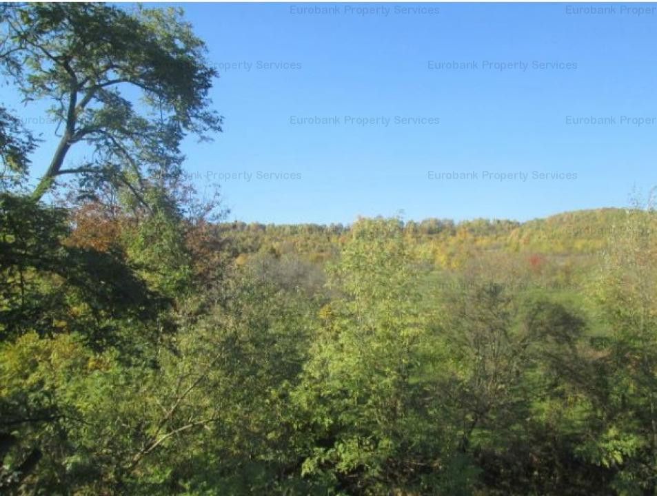 Teren Stefanesti sat Valea Mare - Poză 2