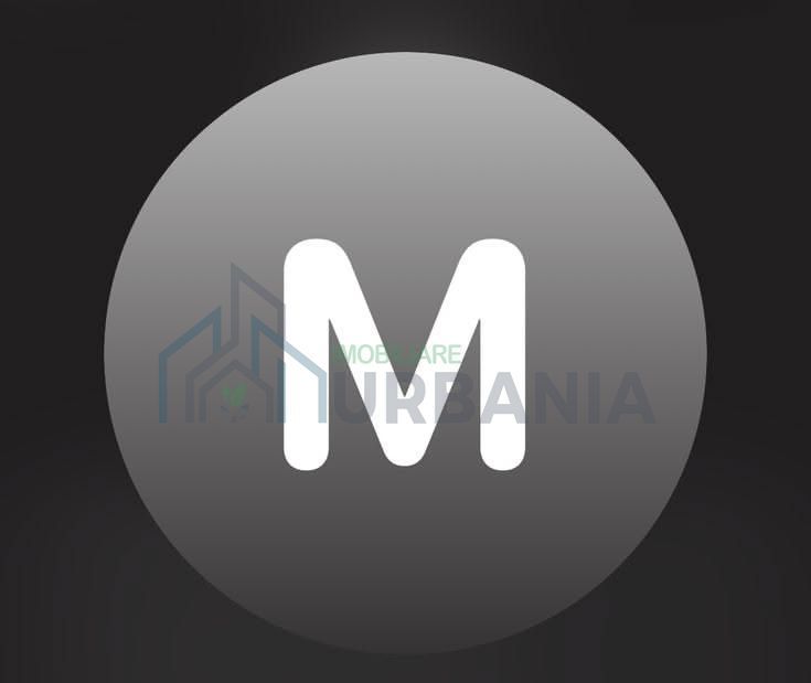 Elevă clasa a XII-a caută chirie în Iași – buget 200-230€ - Poză 1