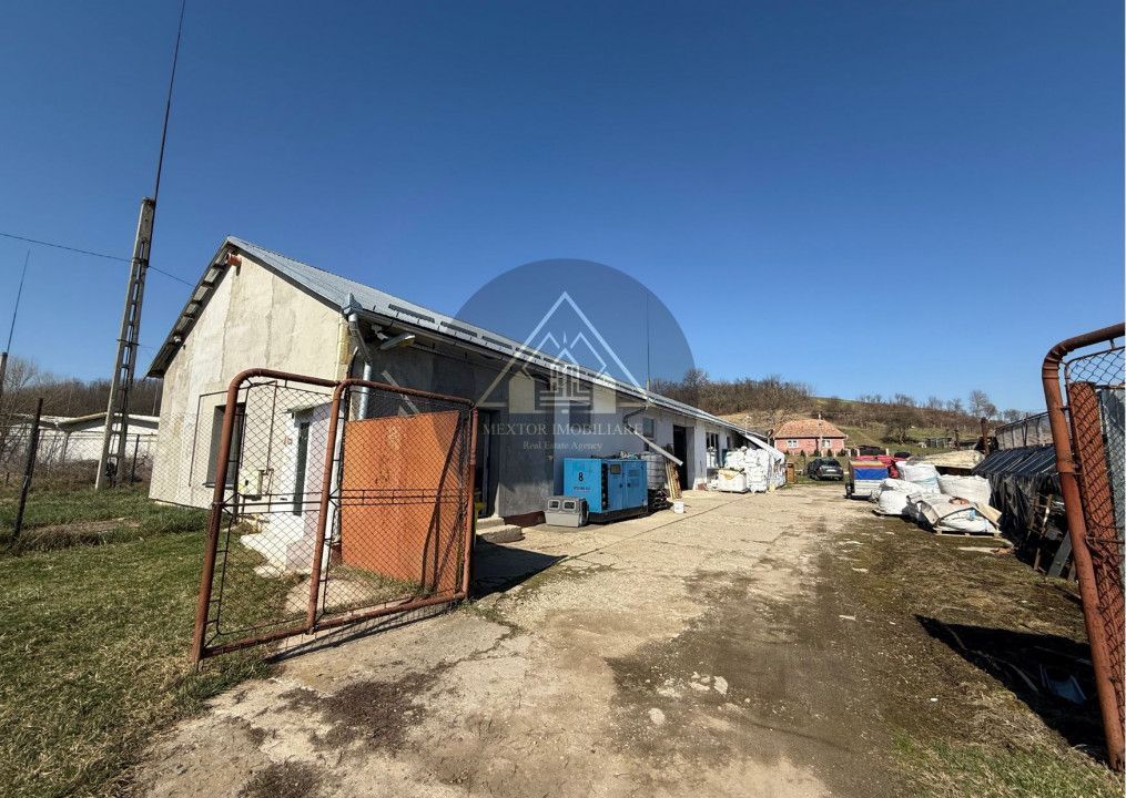 Halã de vânzare - Poză 6