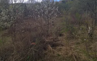 Casa P+M 3 camere 110 mp-teren 1400 mp-Zona Valea Jelnei - Poză 15