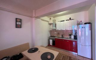 Apartament 2 camere decomandate | 45 mp | Etaj 7 | Doamna Stanca - Poză 3