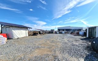 Teren / Platforma 1000mp de inchiriat | Mosnita Noua | Albina - Poză 5