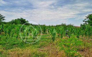 Teren intravilan de vanzare in Cefa, Bihor - Poză 1
